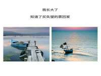 南通市立琪宠物用品商贸有限公司