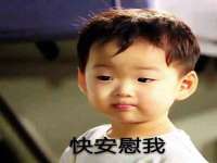 南通市立琪宠物用品商贸有限公司